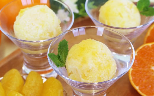 瀬戸内しまなみ柑橘物語 ソルベ9個入（583）