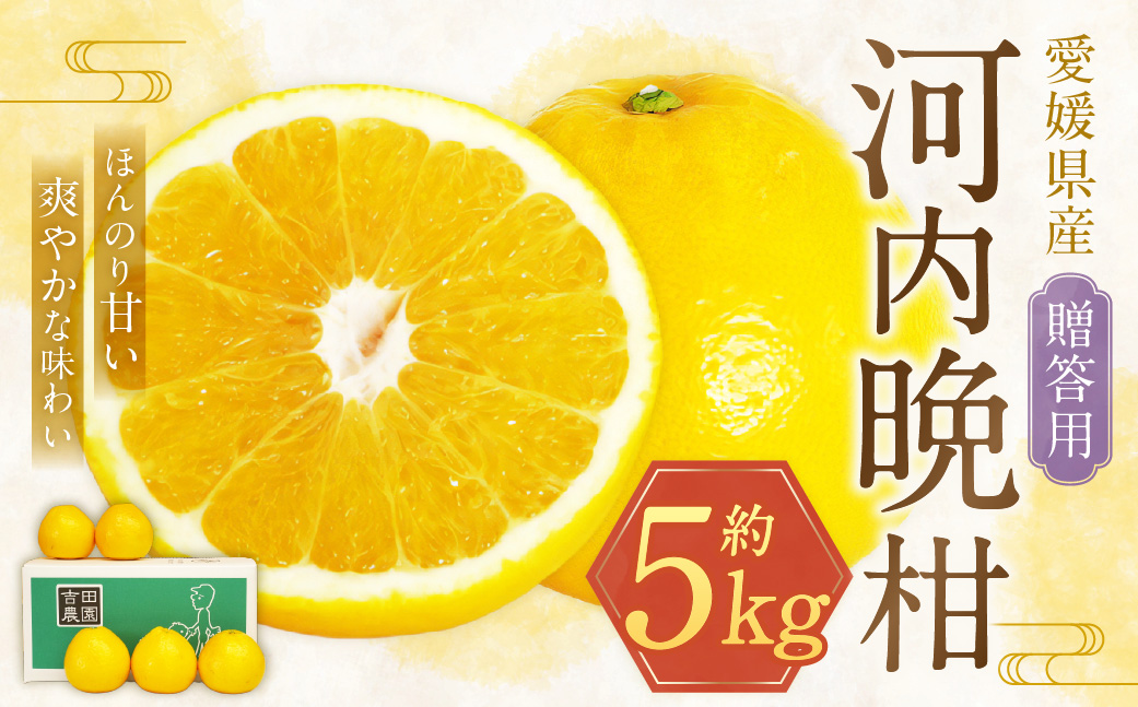 贈答用 河内晩柑 5kg