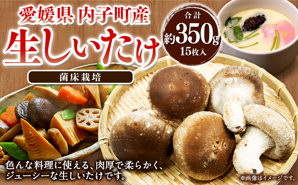 内子町産 生しいたけ (菌床栽培) 15枚入り 約350g [えひめの町(超)推し!(内子町)](442)