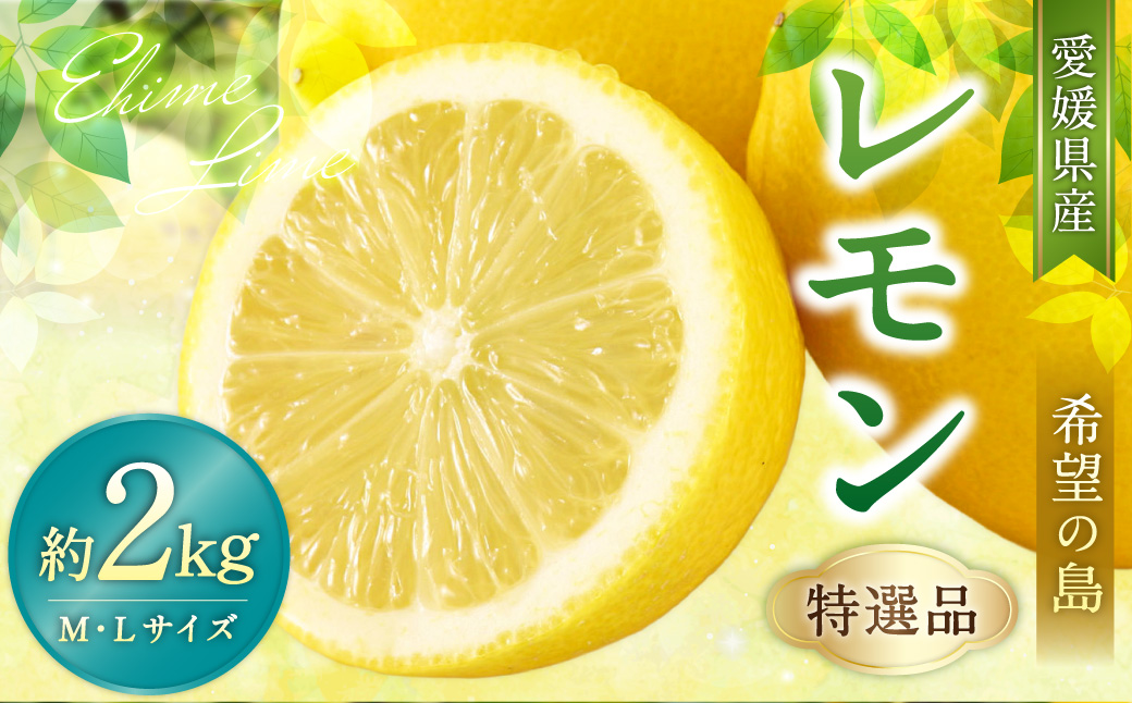 【希望の島】レモン特選品中玉2kg