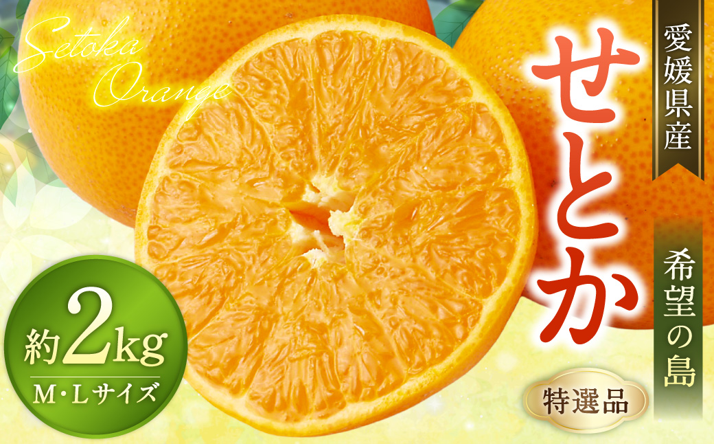 【希望の島】 せとか 特選品 中玉 2kg