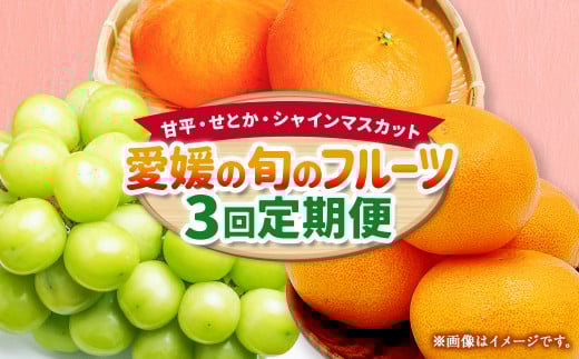 愛媛の旬のフルーツ3回定期便