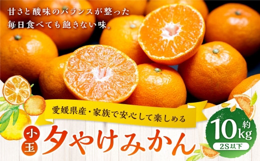 夕やけみかん小玉約10kg