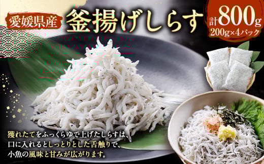 釜揚げしらす【4パック】（896）