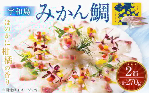 宇和島みかん鯛 2節 計270g