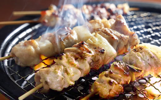 媛っこ地鶏 極上モモ焼き鳥 セット【15本】（906）