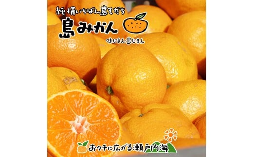 【希望の島】 温州みかん 特選品 中玉 2kg