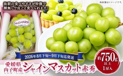 内子町産 シャインマスカット 赤秀 1房入 約750g以上
