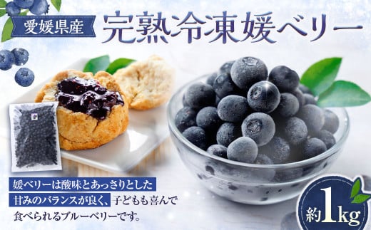 完熟冷凍媛ベリー【約1kg】（894）