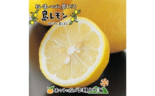 【希望の島】レモン特選品中玉2kg