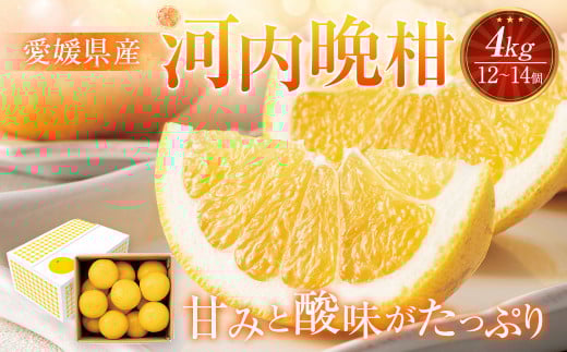 愛媛県産 河内晩柑 4kg（12～14個） 【2025年5月下旬～6月上旬発送予定】（873）