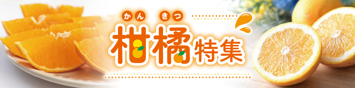 柑橘特集