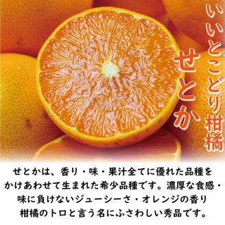 訳あり みかん 家庭用 せとか S-4Ｌ玉 約5㎏( 訳あり みかん 訳あり柑橘 訳あり商品 せとか みかん 柑橘 松山 愛媛県 )