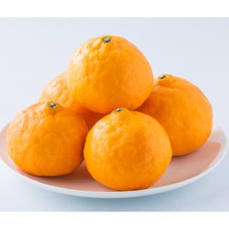 ★発送は4月下旬～★ カラマンダリン 2.5kg（MからLサイズ） 2.5kg