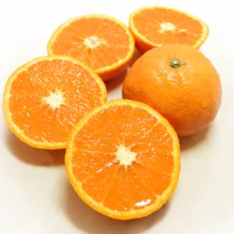 【2026年4月上旬頃から発送予定】カラマンダリン ＜秀品＞ 約3kg (M-L) ギフトBOX入り | みかん カラマンダリン 秀品 オレンジ 柑橘 贈答箱 愛媛県 松山市 ココオ Koko'o