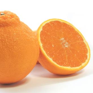 【先行予約】【2026年2月上旬から発送予定】不知火(しらぬい) ＜秀品＞ 約2.5kg (L-3L / 8-12玉 ) ギフトBOX入り | みかん 不知火 秀品 しらぬい 贈答箱 愛媛県 松山市 ココオ Koko'o