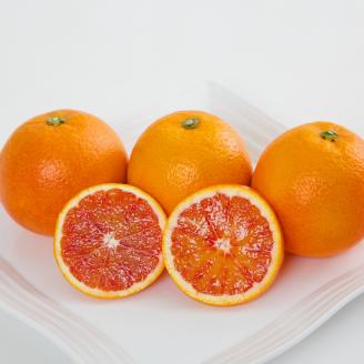 【先行予約】【2026年3月中旬から発送予定】 ブラッドオレンジ＜秀品＞ 約3kg (S-M / 21-25玉 ) ギフトBOX入り | みかん ブラッドオレンジ 秀品 ブラッドオレンジ 柑橘 タロッコ モロ みかん 贈答 ブラッドオレンジ みかん 贈答箱 愛媛県 松山市 ココオ Koko'o