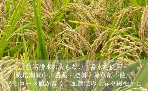 【2023年収穫米 玄米】自然栽培米 "神米" イセヒカリ 2キロ 玄米