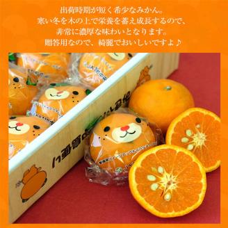 【先行予約】 カラマンダリン 愛媛県産 みきゃん箱 12玉 or 15玉 柑橘 みかん 贈答 可愛い 愛媛県 松山市