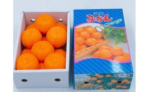 【先行予約】 8月下旬から発送 ハウスみかん 2SからSサイズ 2.5kg （愛媛県産 みかん 蜜柑 オレンジ 柑橘 果物 フルーツ 家庭用 お取り寄せ おすすめ 愛媛県 松山市 ） 2.5kg