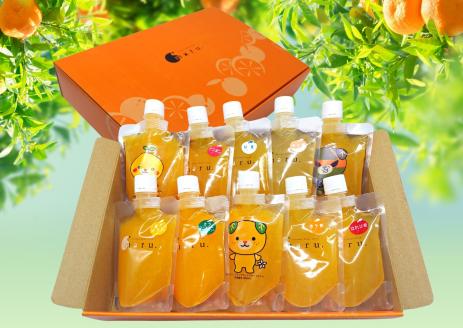【おまかせ10種】飲むみかんゼリー 詰め合わせ　 みかん 人気 ギフト 愛媛 松山 贈答 プレゼント ゼリー ジュース のみくらべ 飲み比べ みかん 詰め合わせ 蜜柑 柑橘 果物 くだもの フルーツ お取り寄せ おすすめ 愛媛県 松山市