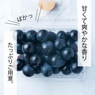 【2025収穫分先行予約】 ナガノパープル 2kg バラ粒 500g 4パック 小分け 早朝 収穫 新鮮 松山