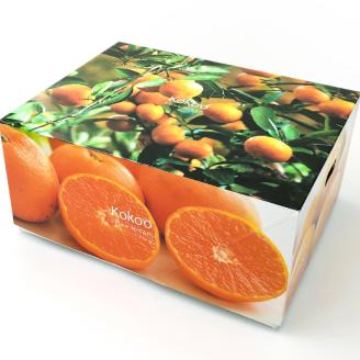 【先行予約】【 2025年12月中旬から発送予定 】 温州みかん 「 南柑20号 」＜ 秀品 ＞ 約3kg 【 ギフトBOX 入り 】