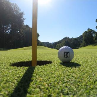 道後 ゴルフ 倶楽部 商品券 3枚