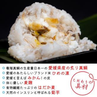 【NEXT ONE 松山市長賞受賞】 鯛むすび