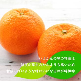 【2026年1月下旬ごろ順次発送】 伊予柑 いよかん 約 5kg 愛媛 興居島 柑橘 糖度 別名 宮内伊予柑