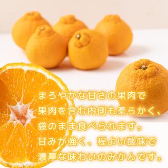 不知火（しらぬい）約5kg  ご贈答用 【2月下旬から順次発送】デコポンと同品種 贈答用5kg