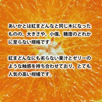 訳なし！ あいか 愛果28号 約5kg ＜11月中旬～発送＞ みかん 柑橘 フルーツ 個包装 果物 愛媛 松山