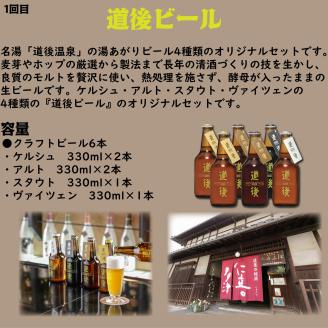 【全4回】松山クラフトビール定期便 愛媛県 松山市 クラフトビール