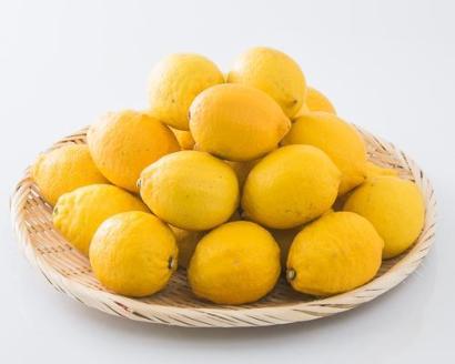【11月上旬から発送】中島産 レモン M～L 2.5kg
