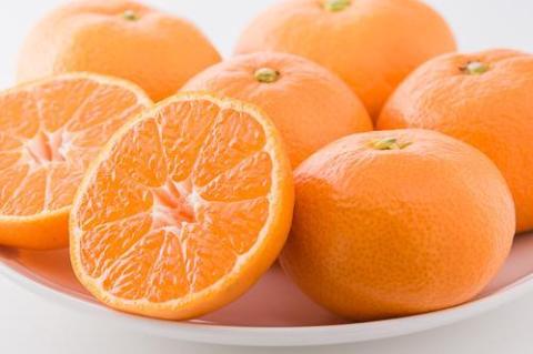 【2025年11月下旬から発送】興居島 みかん S～L サイズ（約3kg）