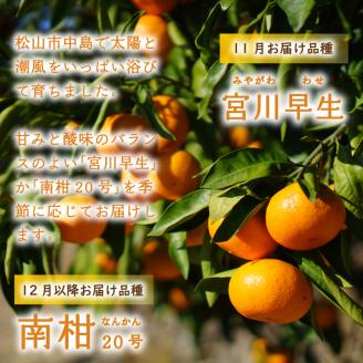 【2025年11月上旬から順次発送】温州みかん 2kg  南柑20号 みかん 早生 わせ 愛媛県産 みかん 松山市 みかん 中島 みかん 2kg ¥5,000