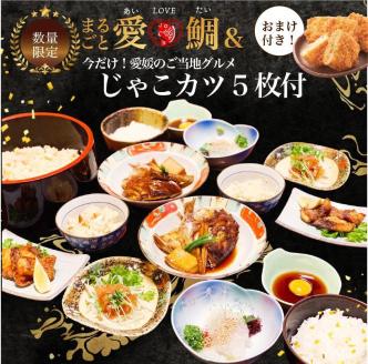 愛媛県産 ご当地『鯛グルメ』まるごと愛LOVE鯛２～３人前＆じゃこカツ5枚付