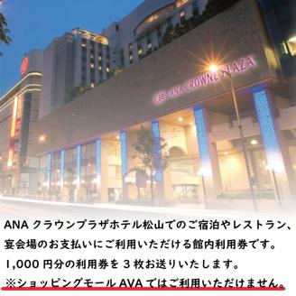 ANAクラウンプラザホテル松山 館内利用券 3,000円分 ホテル 利用券 温泉 松山城 坊ちゃん 旅行 愛媛県 松山市 IHG・ANAホテルズ特集:  松山市ANAのふるさと納税