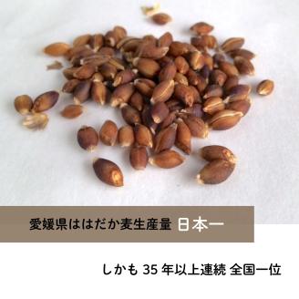 はだか麦 オルジュヌミール ホワイト 1kg 愛媛県産 オートミール のように加工 グラノーラ