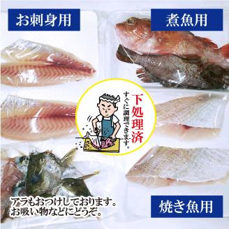 【嶋矢水産】 瀬戸内の鮮魚 直送便 下処理済み 産地直送 20000円 台 四人前 刺身 煮魚 焼き魚 瀬戸内海 愛媛 松山 老舗 魚 人気