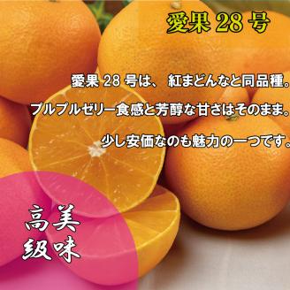 【12月中旬から発送】訳あり 家庭用 愛果28号 約5kg  ( 訳あり あいか みかん 柑橘 松山 愛媛県) 約5kg