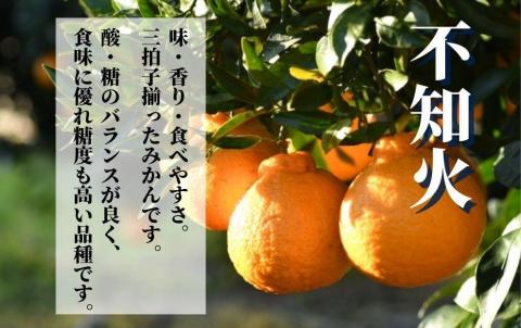 【不知火】家庭用 約2.5kg ＜2026年2月末～4月頭頃発送＞