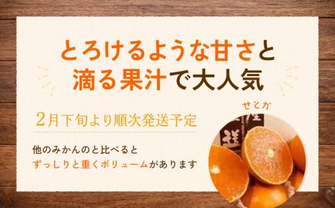 【2月下旬より発送】 先行予約 特級品 せとか 4.5kg みかん 柑橘 果物 フルーツ 松山市 愛媛県 おすすめ人気