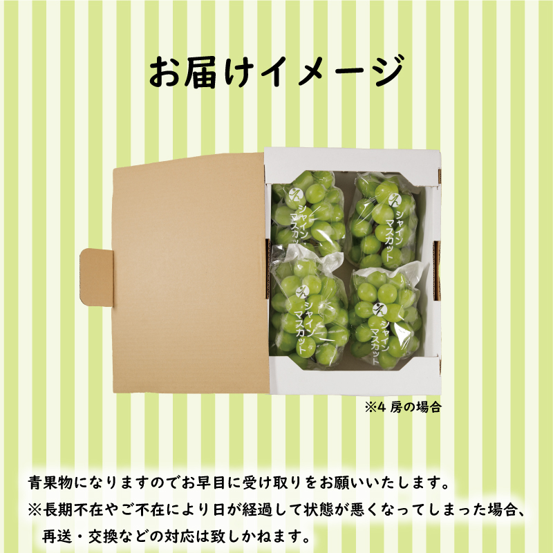 【2026年発送分先行予約】 秀品 シャインマスカット 約2kg ( 4 ~ 6房 ) ぶどう 葡萄 マスカット フルーツ 果物 冷蔵 数量限定 おすすめ 愛媛県産 松山市 旬 高級 プレゼント