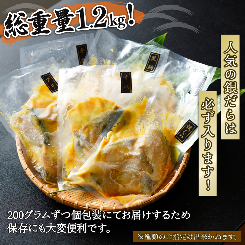 訳あり 西京漬け 6種セット 銀だら西京漬け 鮭西京漬け ハモ西京漬け 真鯛西京漬け 鯖西京漬け