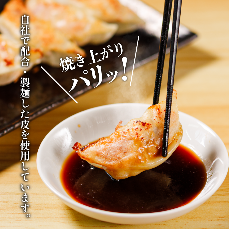 あさの生餃子 【25個入×5パック 計125個】 冷凍餃子 国産豚肉 生餃子