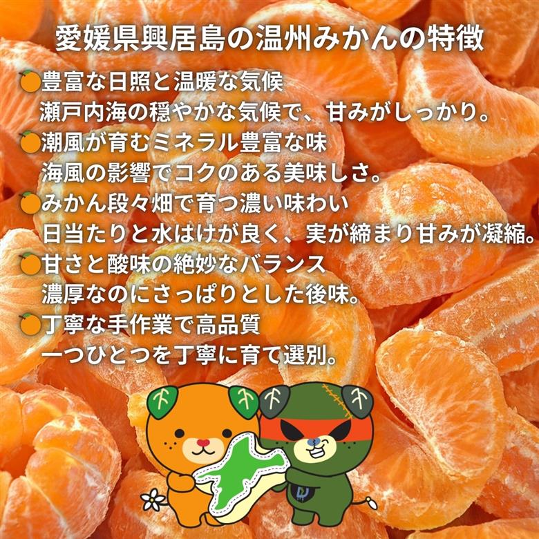 【先行予約】 温州みかん 2kg 興居島産 ランダムサイズ 優品以上 愛媛産 愛媛県産 国産 愛媛みかん 愛媛蜜柑 愛媛ミカン みかん ミカン mikan 蜜柑 柑橘 フルーツ 果物 くだもの お取り寄せ 産地直送 数量限定 人気 おすすめ 愛媛県 松山市
