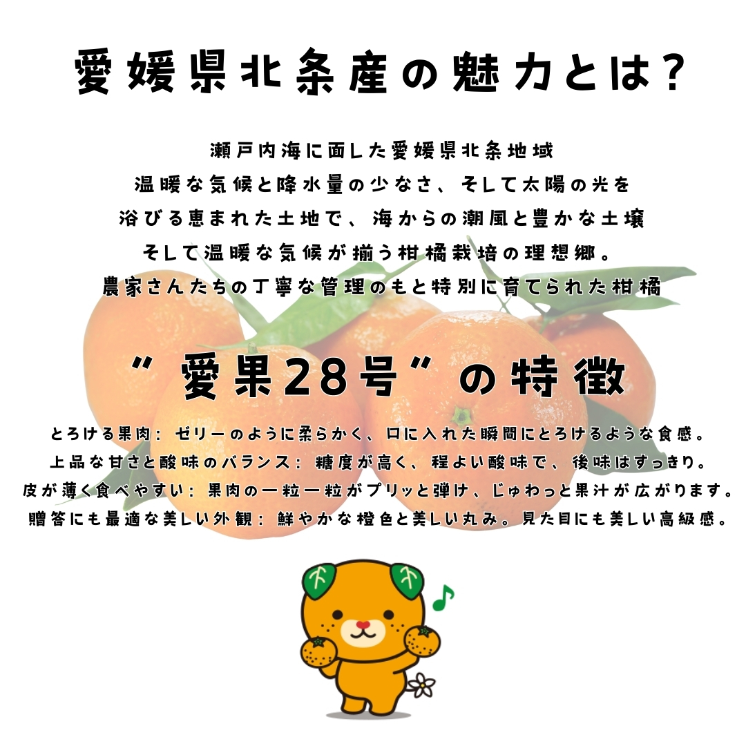 【先行予約】 愛果28号 お試し3個入りセット 愛媛産 愛媛県産 国産 愛媛みかん 愛媛蜜柑 愛媛ミカン みかん ミカン mikan 蜜柑 柑橘 フルーツ 果物 くだもの お取り寄せ 産地直送 数量限定 人気 おすすめ 愛媛県 松山市