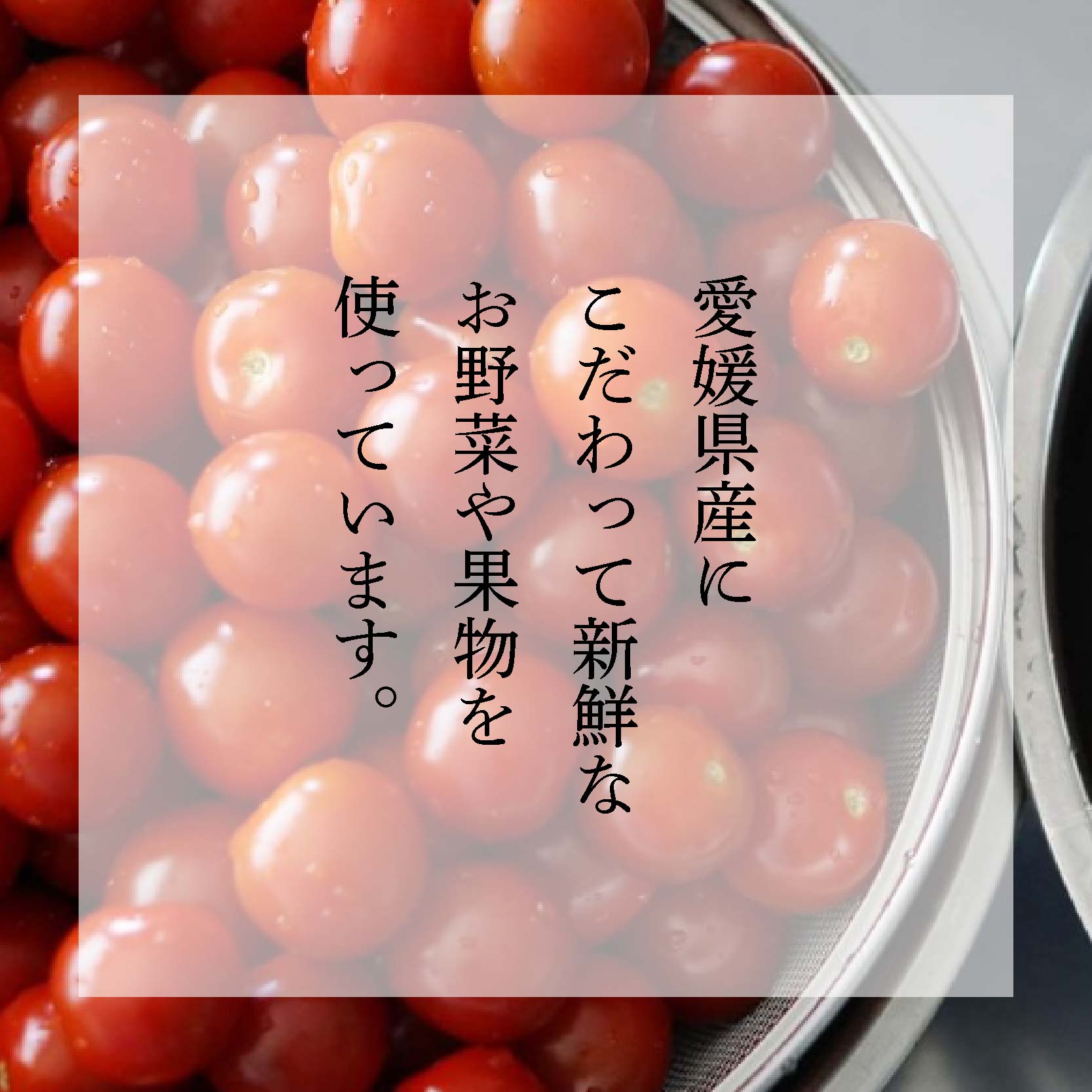 ピクルス 瀬戸内の季節を味わう３本セット