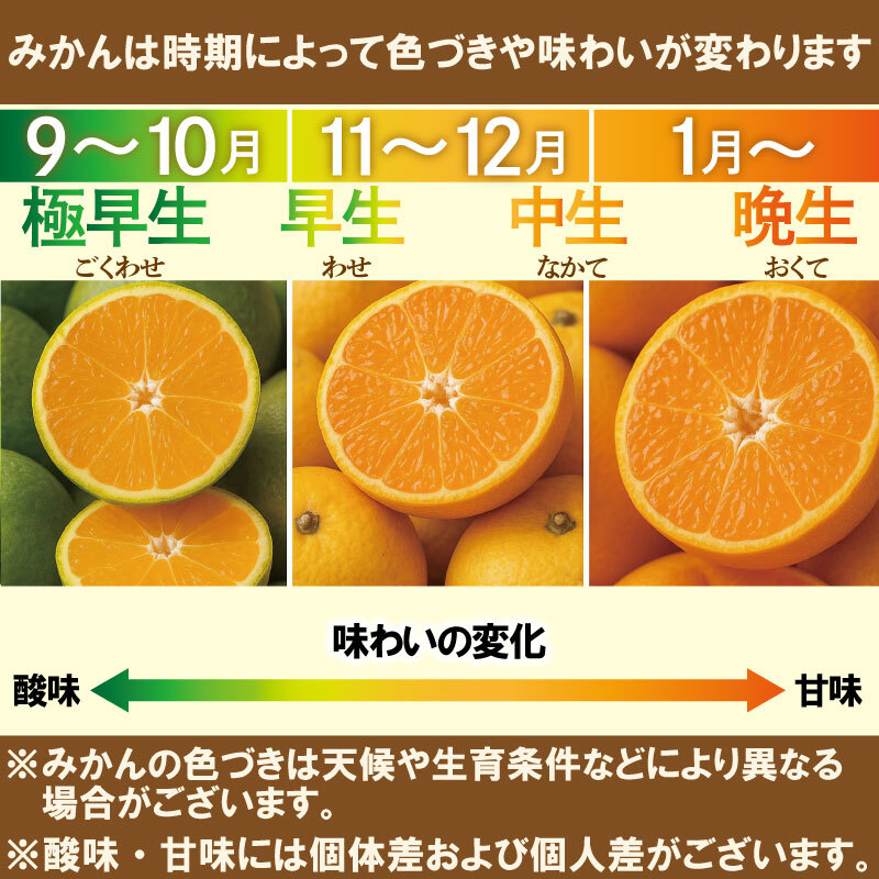 温州みかん 約5kg【2025年11月から順次発送】えひめみかん 愛媛みかん 温州みかん ミカン 柑橘 蜜柑 フルーツ くだもの 果実 松山市 愛媛県 数量限定
